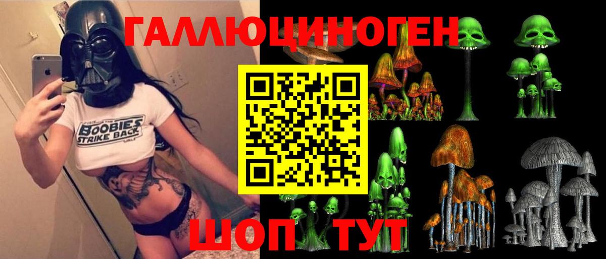 Сланцы  Псилоцибиновые грибы Psilocybine cubensis  Вход с VPN 